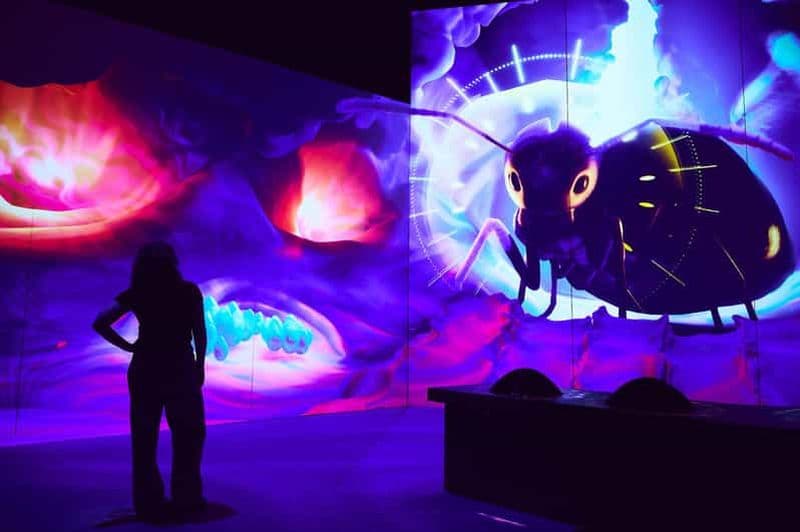 Billet Melbourne : Melbourne Museum Antopia Exhibition Ticket