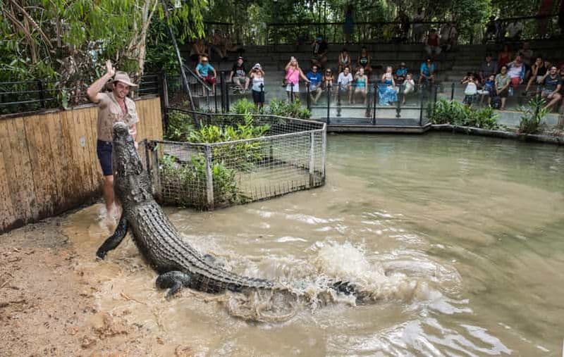 Billet Cairns : Visite de Hartley's Crocodile Adventures avec transfert