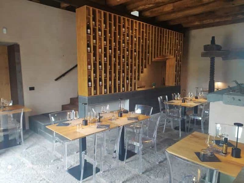 Billet Visite des vignobles avec dégustation de vins