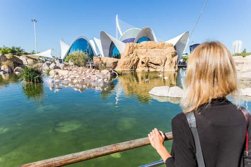 Billet Valence : combo Oceanogràfic et musée des sciences