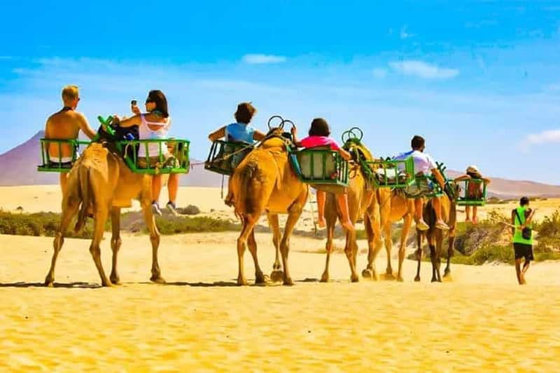 Billet Visite de la ville en vélo électrique et balade à dos de chameau dans les dunes de Maspalomas incluses.