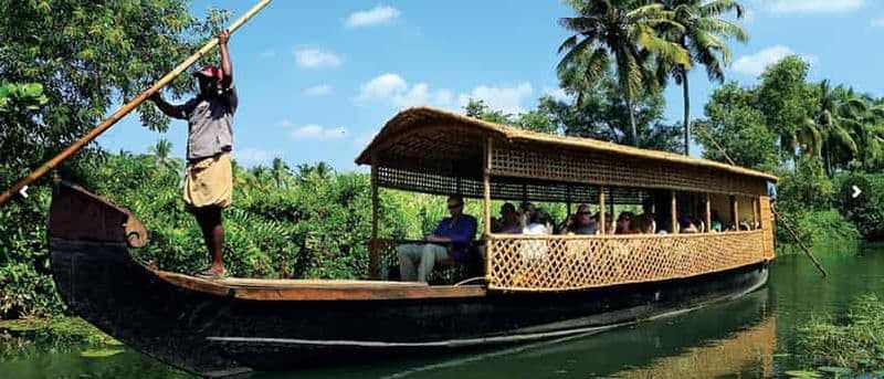 Billet Cochin : Croisière d'une demi-journée sur le Backwater Village Eco Boat Cruise W/ Lunch