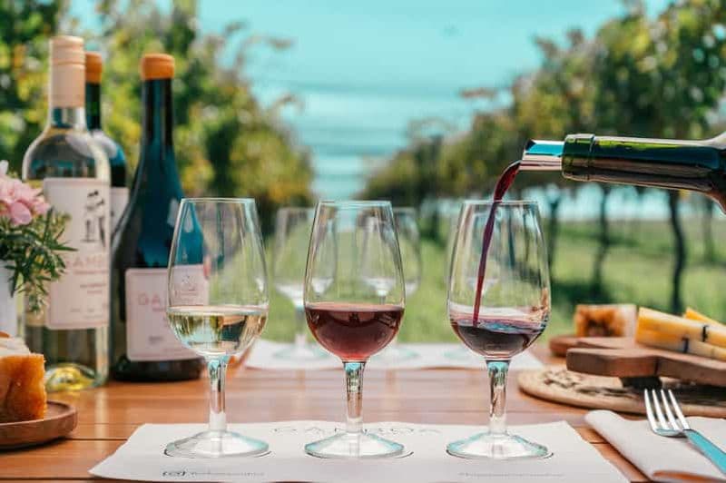 Billet Buenos Aires : Dégustation de vin et déjeuner au vignoble Gamboa