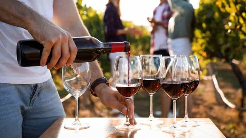 Billet Visitez les vignobles et découvrez les vins de Bandol.