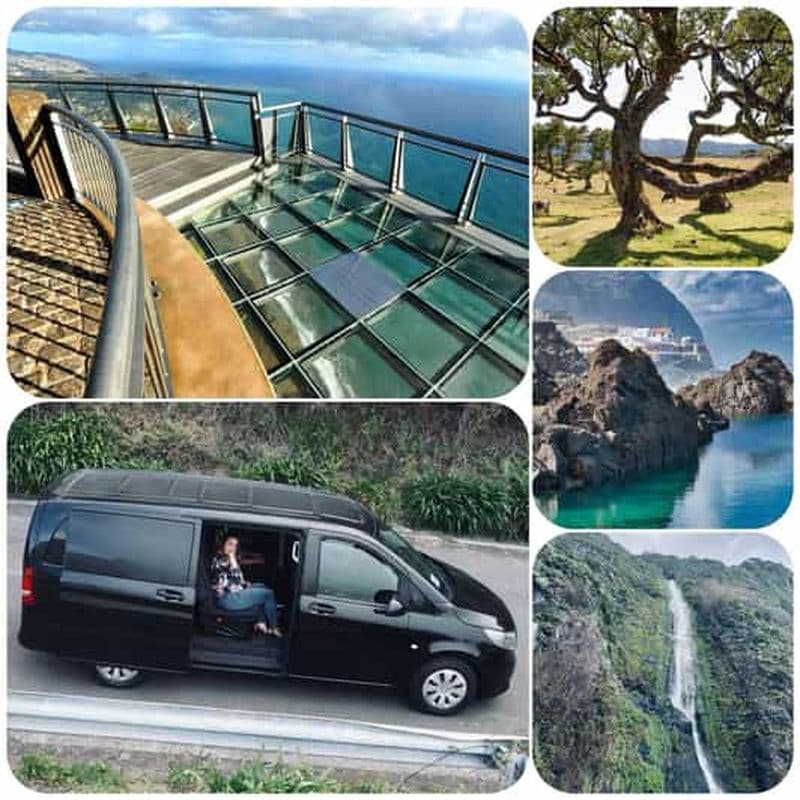 Billet Madère : visite guidée de l'ouest avec le guide Fanal Forest SykWalkExperience