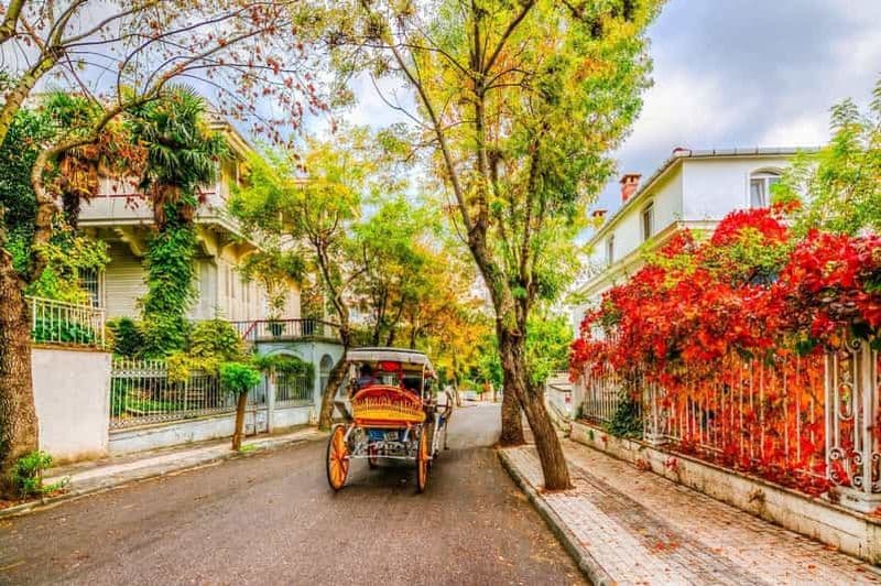Billet Istanbul : croisière aux îles des Princes avec déjeuner et guide