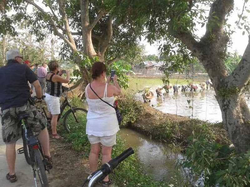 Billet Visite guidée à vélo des couleurs de Chiang Mai