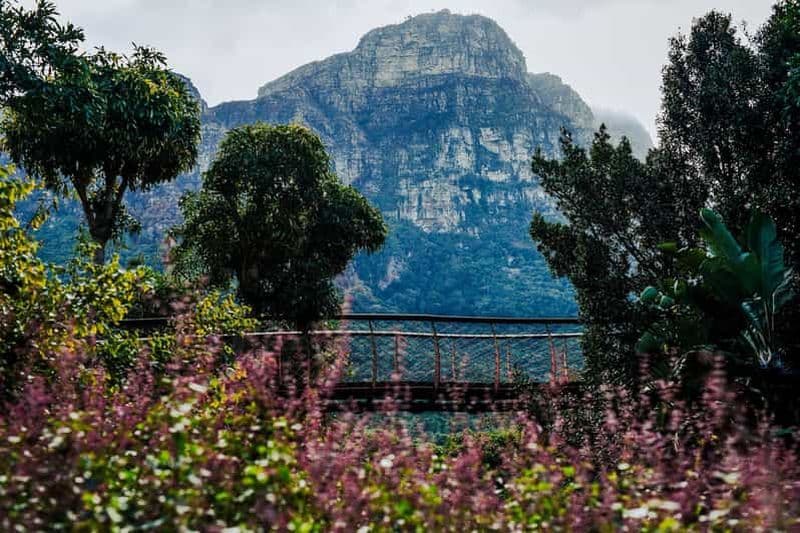 Billet Visite du jardin botanique de Kirstenbosch et de la vallée viticole de Constantia