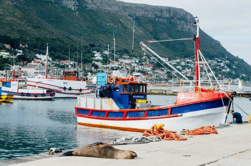 Billet Le Cap : excursion d'une journée au Cap de Bonne Espérance et à la plage des Boulders