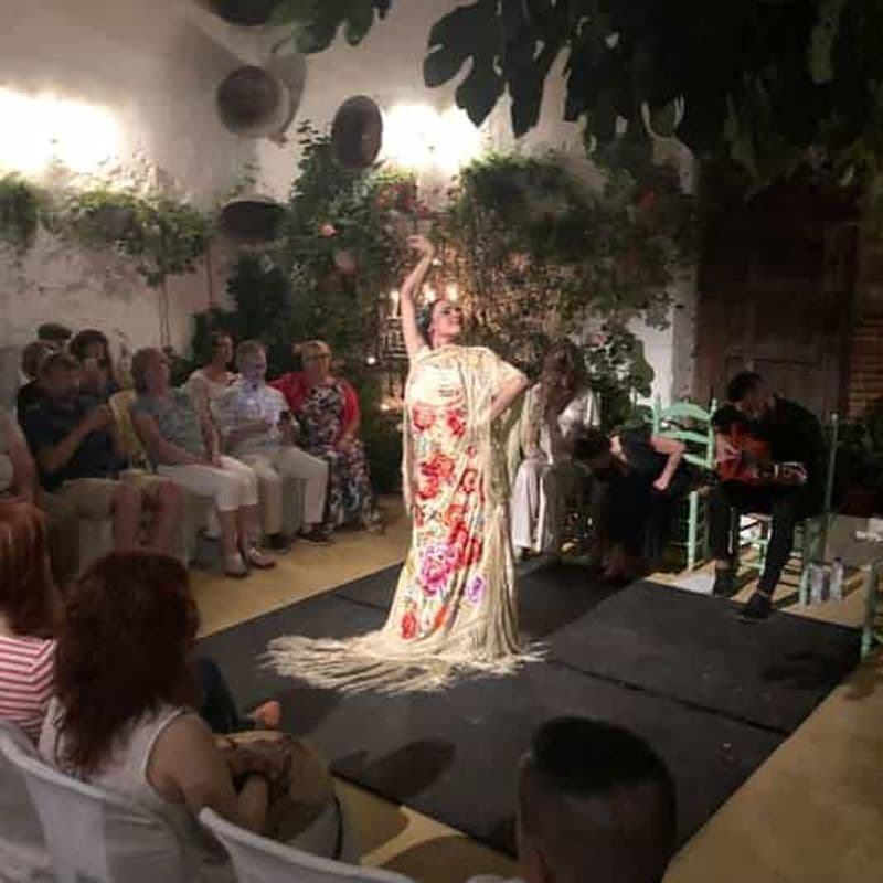 Billet Spectacle de flamenco en direct au Tablao La Puerta Ancha avec tapas