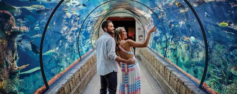 Billet Las Vegas: billet d'entrée à l'aquarium Shark Reef et à l'expérience VR