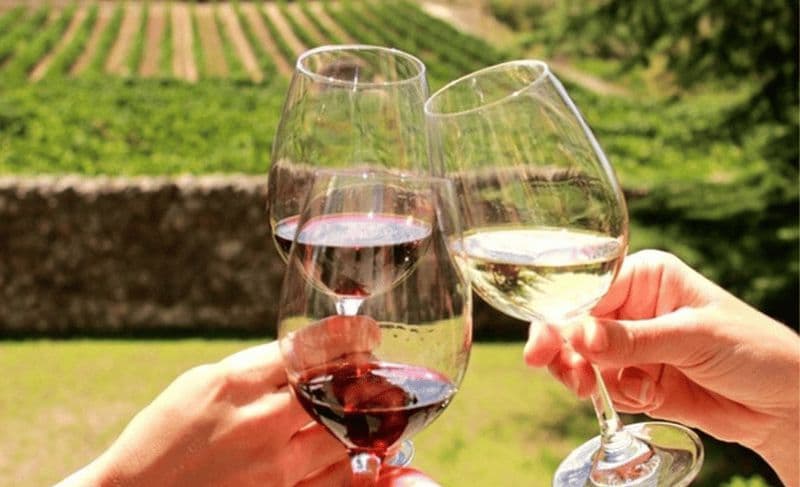 Billet Stellenbosch : visite d'une demi-journée à la découverte du vin