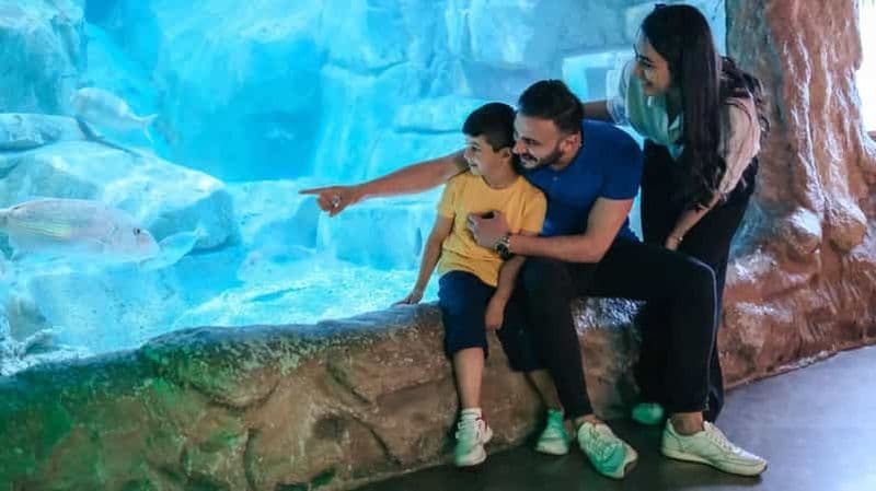 Billet Barcelone : bus à arrêts multiples et visite de l'aquarium