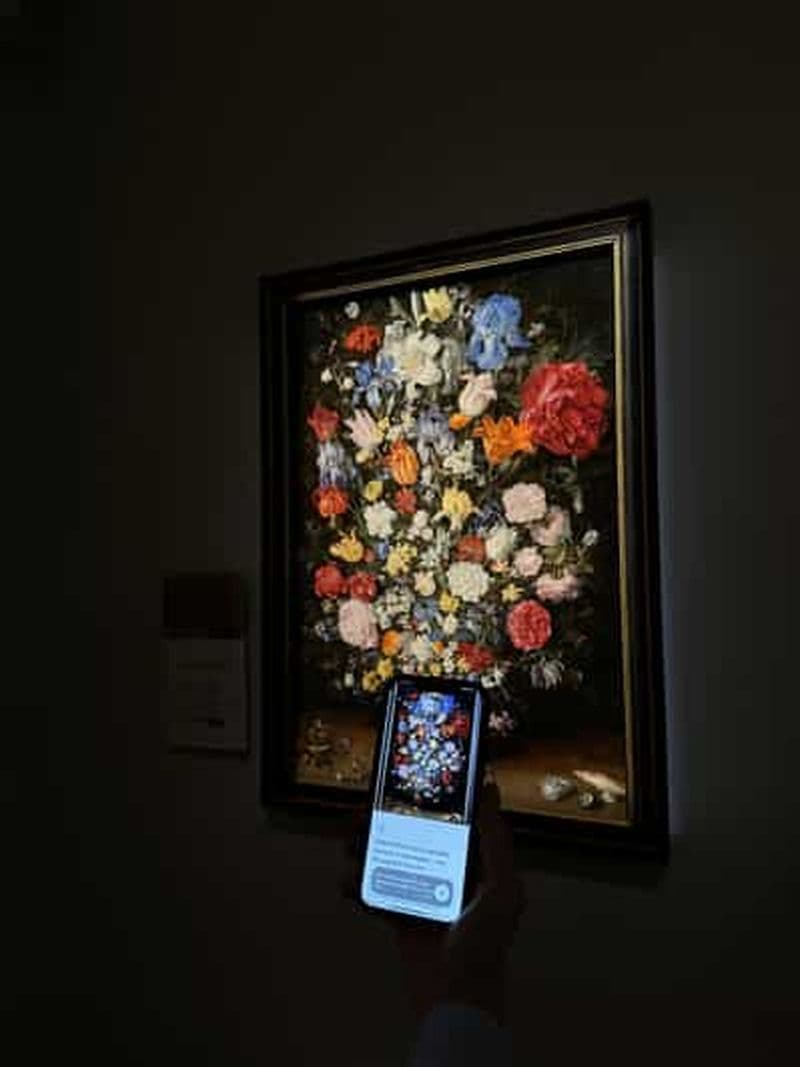 Billet Audioguide de la Pinacothèque Ambrosienne