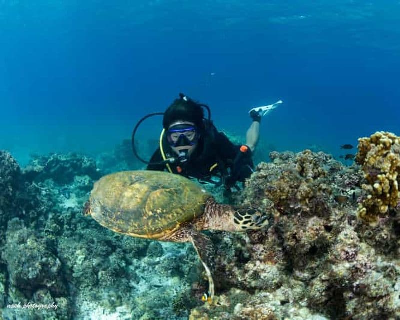 Billet MUSCAT : Daymaniyat Island Snorkeling & Try-Dive + BBQ Lunch