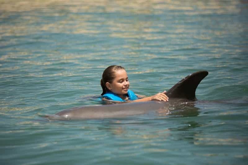 Billet Punta Cancun : Nager avec les dauphins Harmony