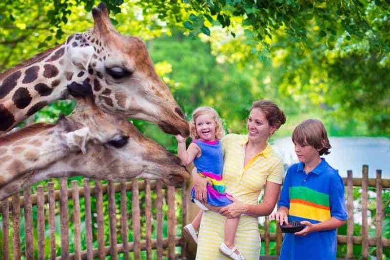 Billet Cracovie : Visite du zoo avec transport privé et billets