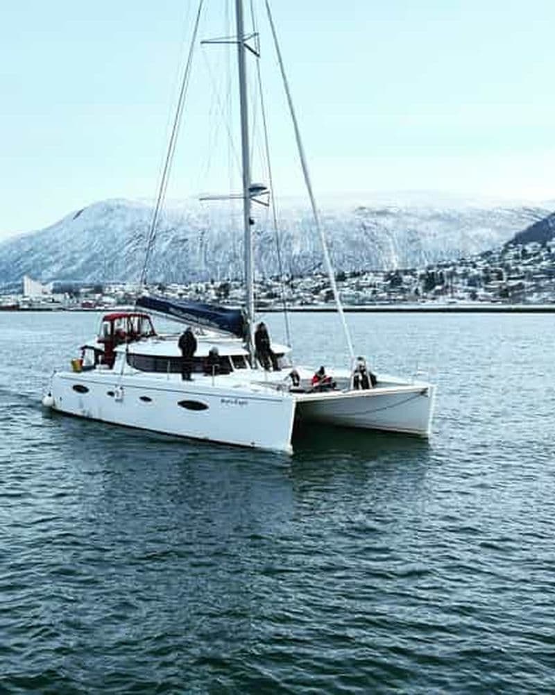 Billet Tromsø : Croisière touristique dans le fjord arctique en catamaran de luxe