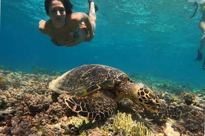 Billet Gili Trawangan : Circuit de plongée en apnée en groupe/partagé 3 îles Gili