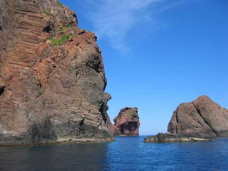 Billet Scandola: visite de la réserve naturelle au départ de Porto (France)