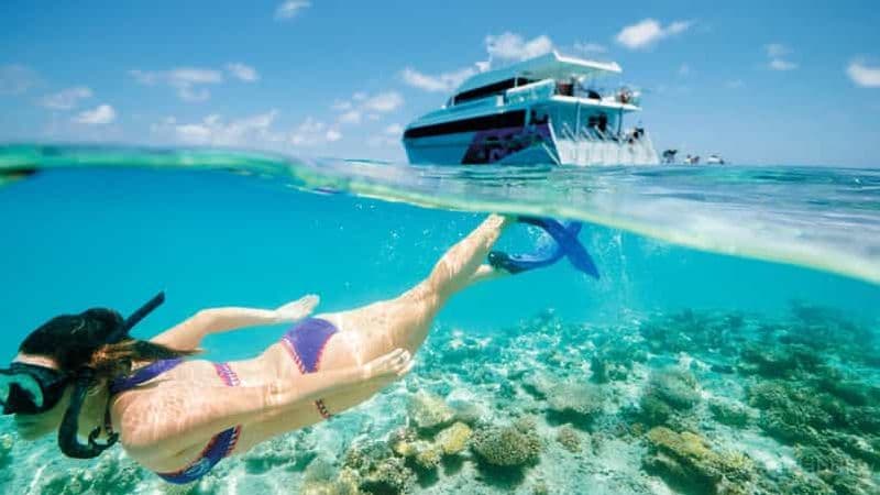 Billet Au départ de Mascate : excursion de plongée en apnée dans les îles Dimaniyat