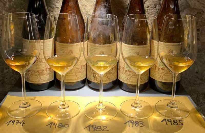 Billet Dégustation de vins accompagnée de mets locaux à Pise, près de la tour