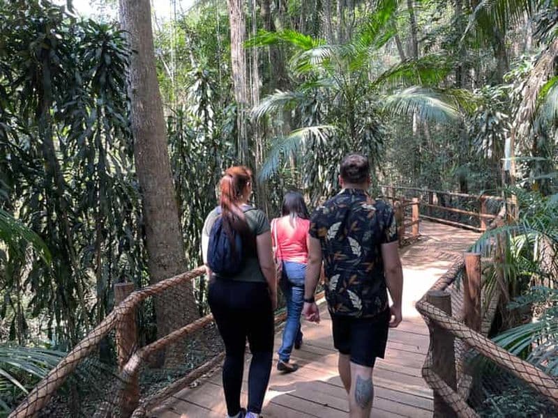 Billet São Paulo : visite du jardin botanique avec un biologiste