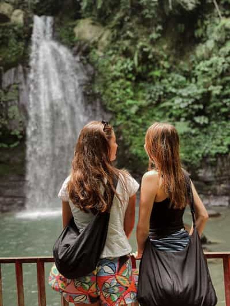 Billet Ubud : forêt des singes, rizières, temples aquatiques, cascades