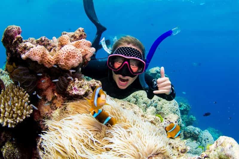 Billet Cairns : excursion d'une journée pour la plongée et le snorkeling à la Grande Barrière de Corail