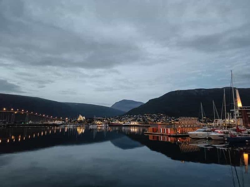 Billet POLARIA ET PROMENADE EN FAMILLE DANS LA VILLE