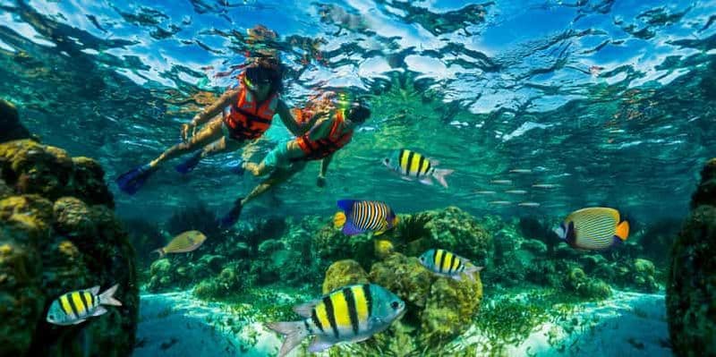 Billet Cancún : excursion de plongée avec tuba dans le récif de Puerto Morelos et déjeuner en bord de mer