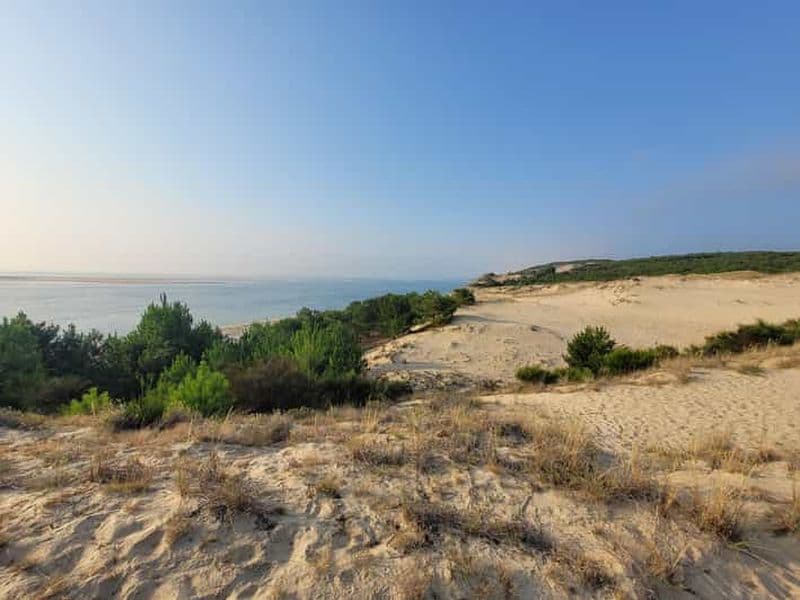 Billet From Bordeaux: Dune du Pilat, Arcachon Bay and Oyster Village Private Tour