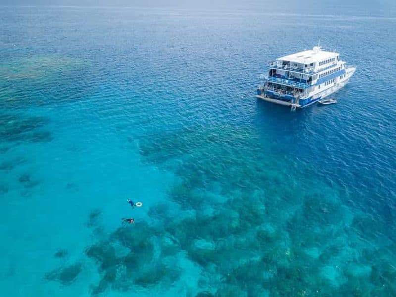 Billet Cairns : excursion d'une nuit en bateau et snorkeling sur la GBC