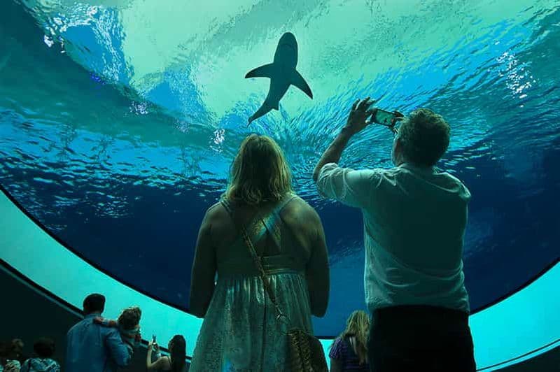 Billet Miami : billet d'entrée pour le musée des sciences et le planétarium Frost