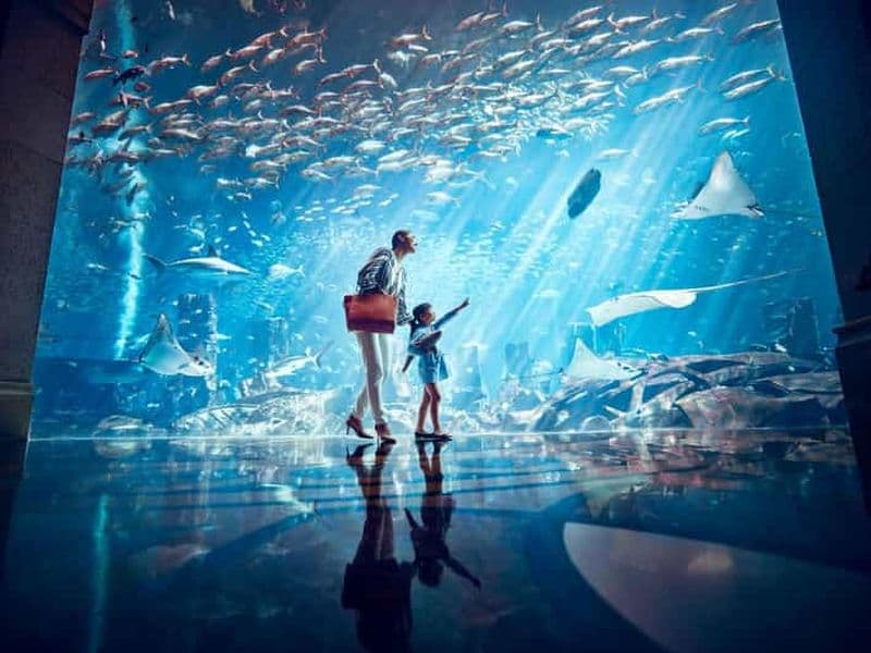 Billet Dubaï : billet d'entrée pour le Lost World Aquarium
