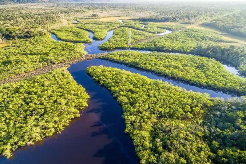 Billet Manaus : randonnée dans la jungle amazonienne et l'archipel d'Anavilhanas