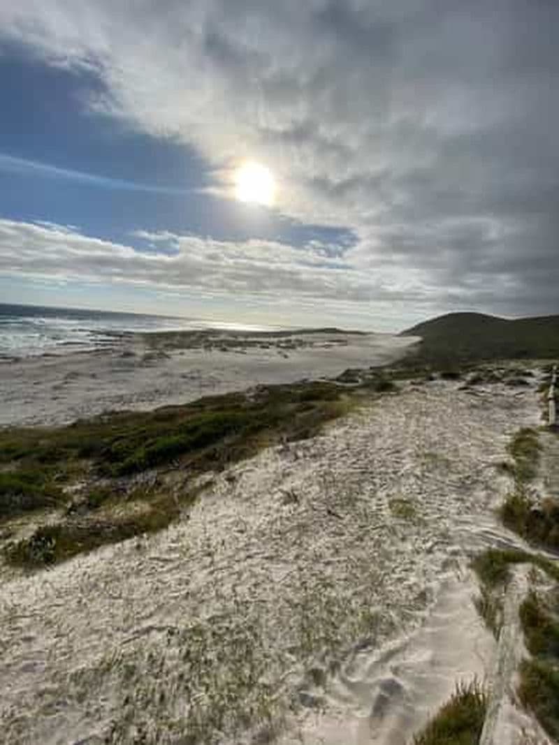 Billet Le Cap : location de vélos de montagne à Cape Point avec itinéraire