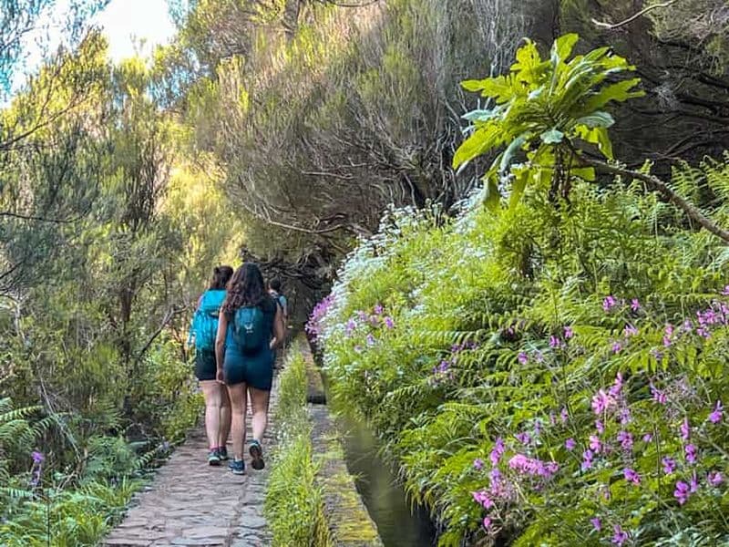 Billet Randonnées en petit groupe Rabaçal 25 Fontes