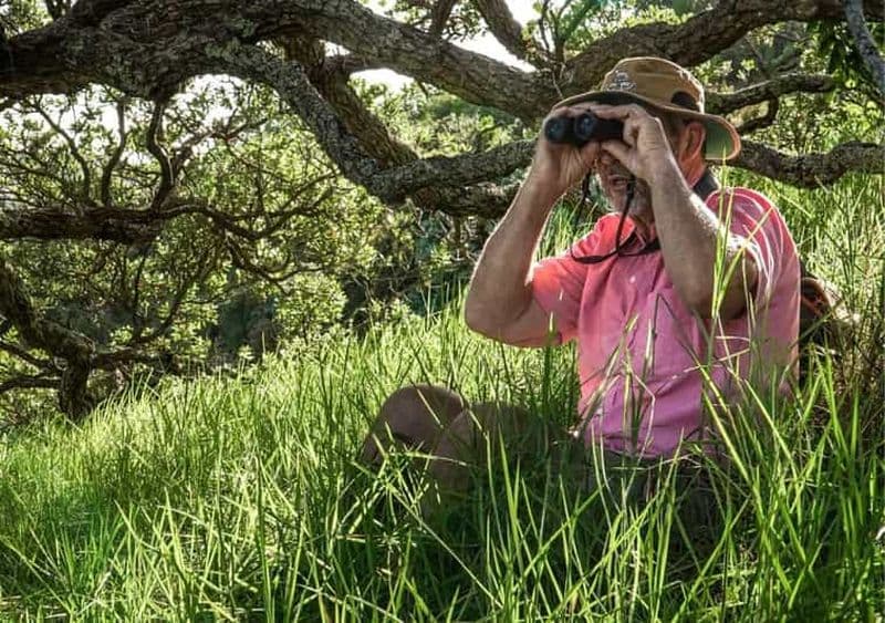 Billet Île de Waiheke : visite privée d'observation des oiseaux | Terra & Tide