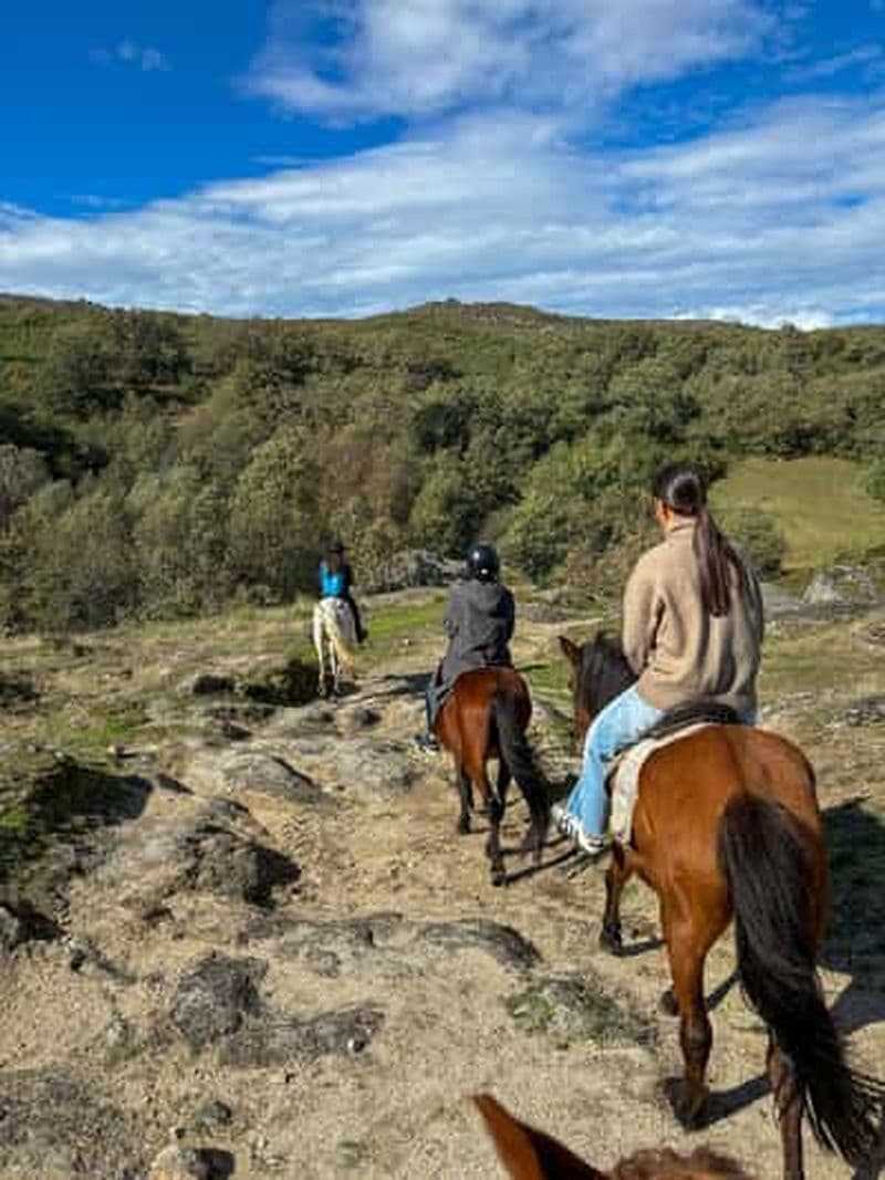 Billet Randonnée à cheval, déjeuner, dégustation de vin