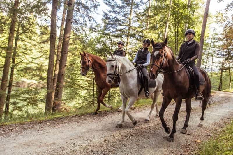 Billet Agadir : Visite guidée à cheval de la forêt et des dunes de sable