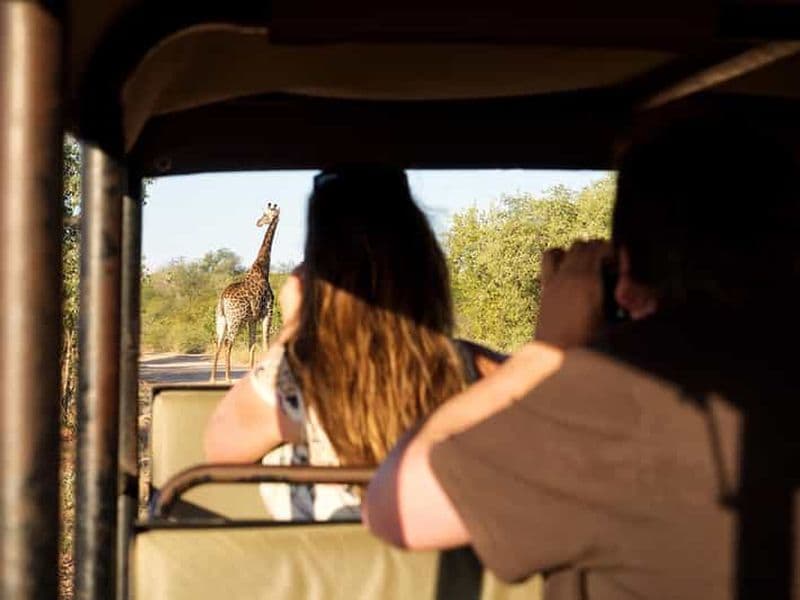 Billet Depuis Johannesburg : Safari de 3 jours sous tente dans le parc Kruger