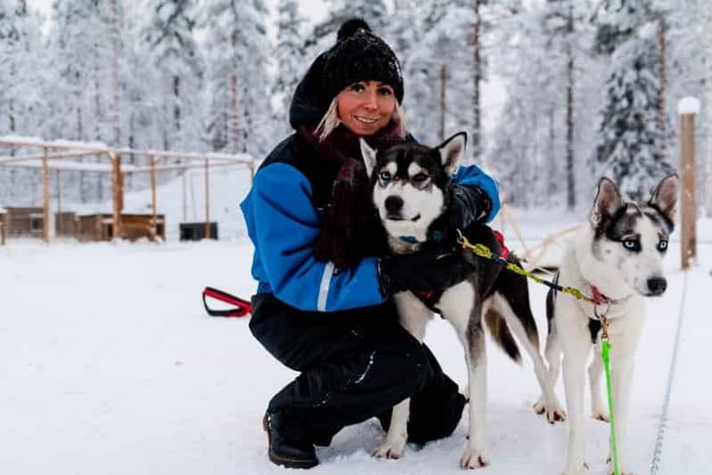 Billet Rovaniemi : aventure en husky Apukka de 7 km, en autonomie