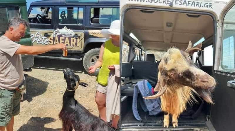 Billet Les secrets du safari en Crète méridionale