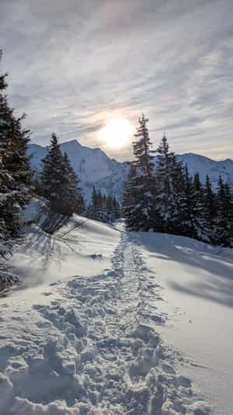 Billet Chamonix : randonnée guidée en raquettes avec équipement (4 personnes)