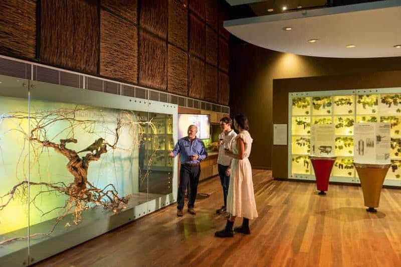 Billet Adélaïde : Voyage de découverte du vin au National Wine Centre