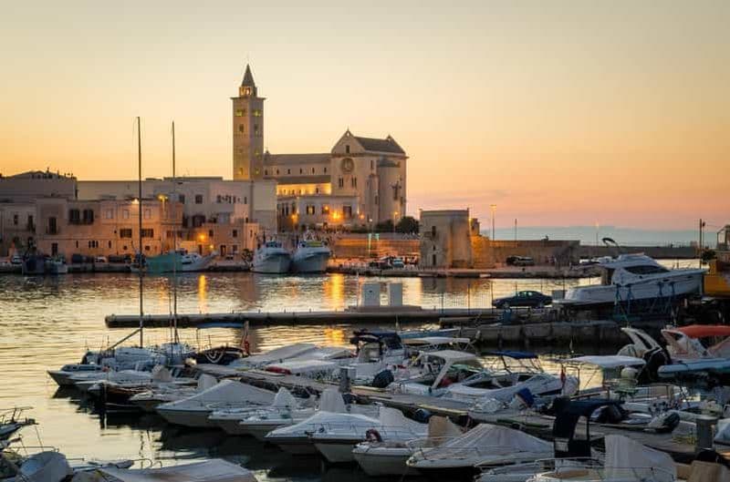 Billet Au départ de Bari : excursion d'une journée en petit groupe à Castel del Monte et Trani