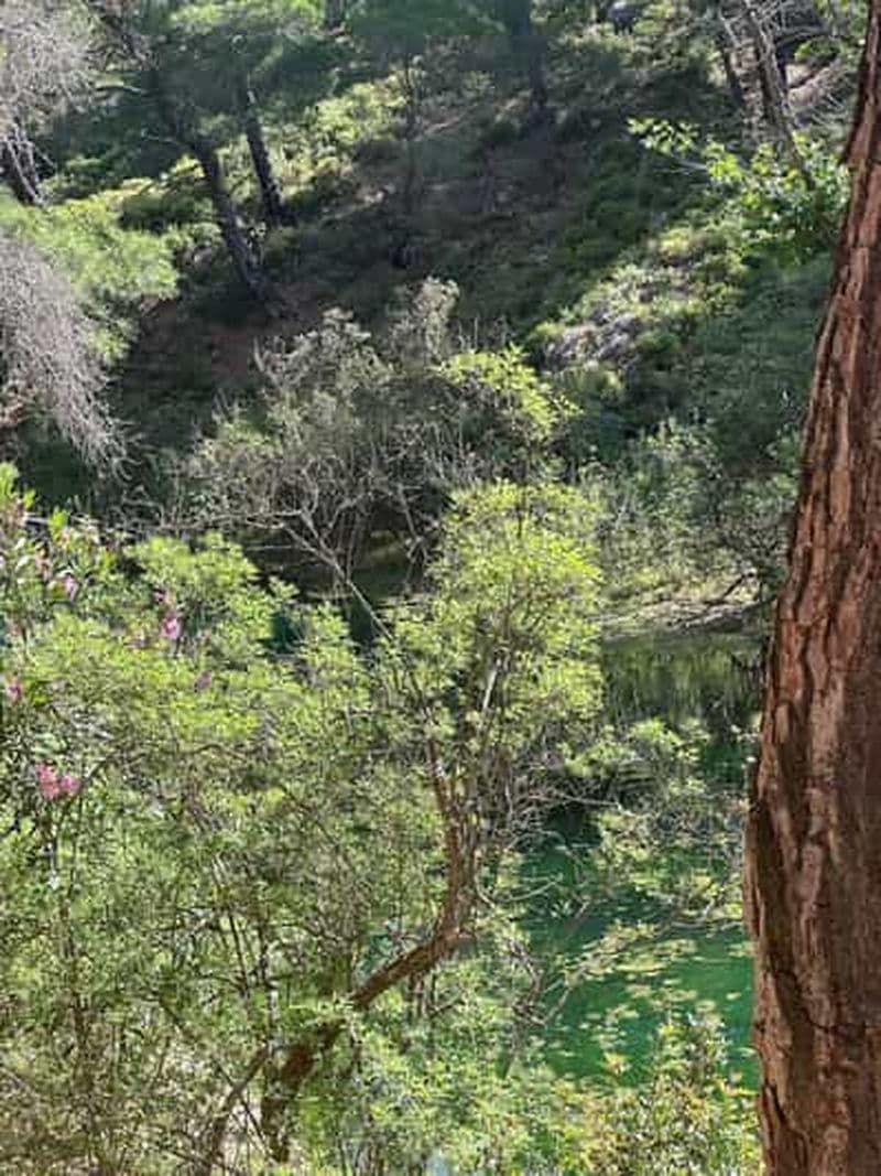 Billet VALLÉE DES PAPILLONS