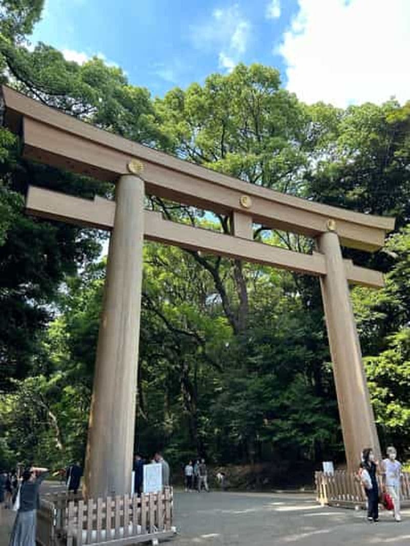 Billet Visite guidée du Meiji Jingu à Harajuku et service de chauffeur