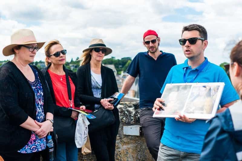 Billet Au départ de Paris : Visite en petit groupe des châteaux de la Loire d'une journée entière